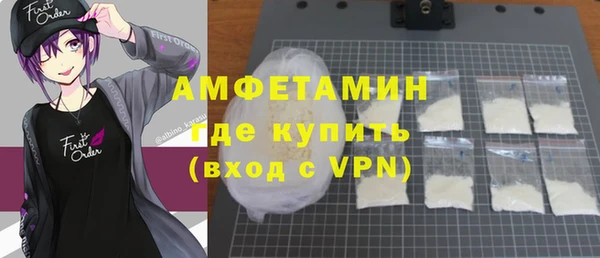 молекула духа Арсеньев