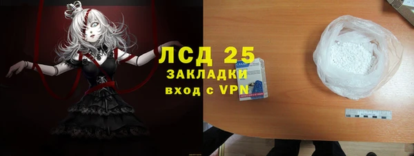 молекула духа Арсеньев