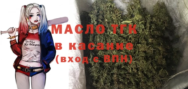 молекула духа Арсеньев