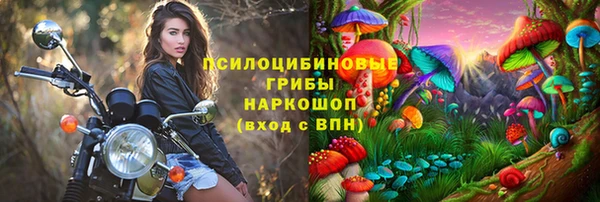 прущий лед Аркадак