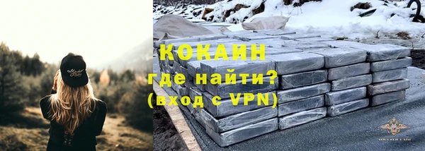 молекула духа Арсеньев