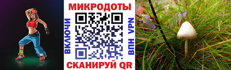 гидра вход Ростов Галлюциногенные грибы Psilocybine cubensis